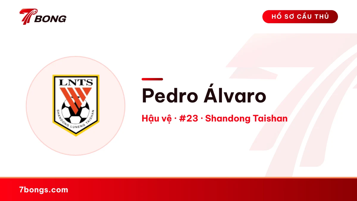 Pedro Álvaro — Shandong Taishan
