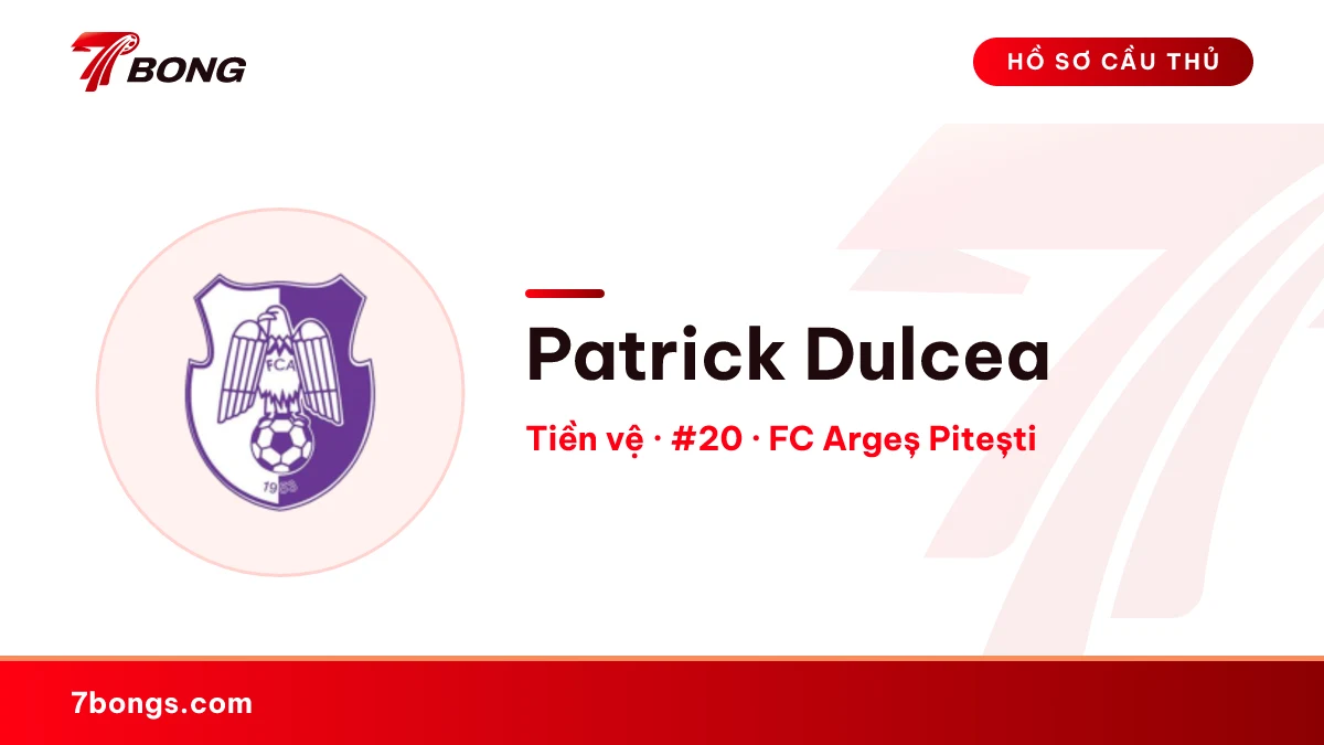 Patrick Dulcea — FC Argeș Pitești