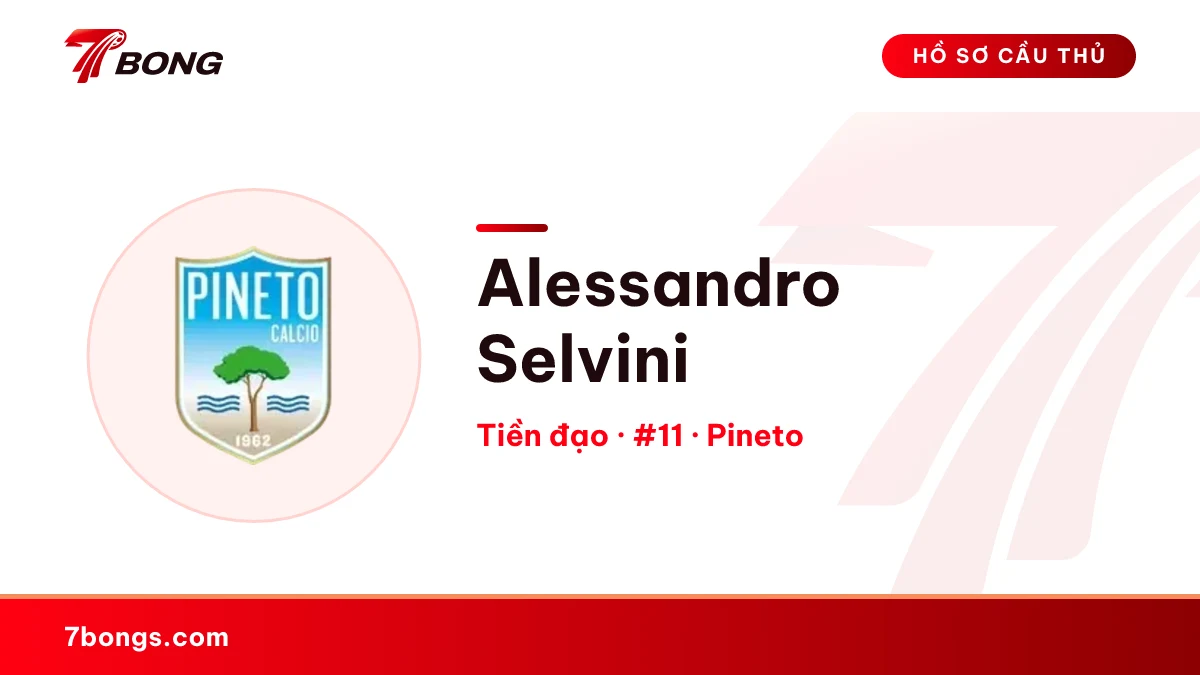 Alessandro Selvini — Pineto