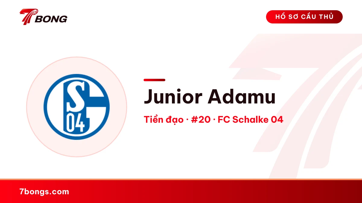 Junior Adamu — FC Schalke 04