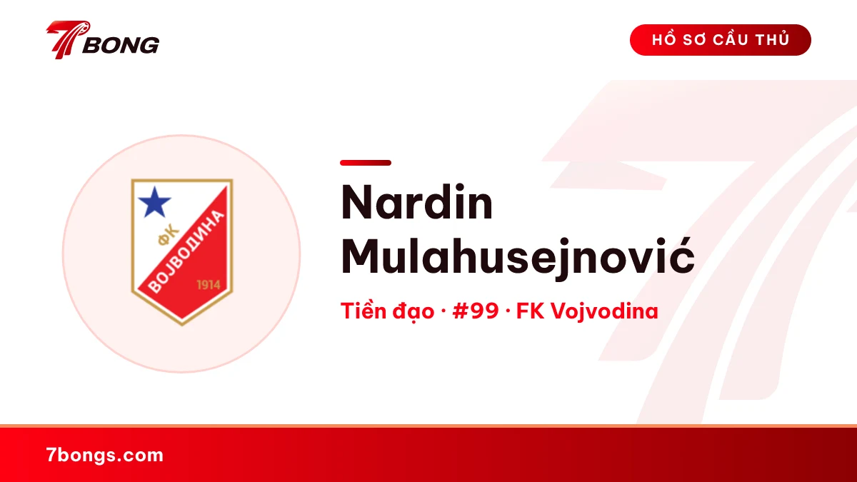 Nardin Mulahusejnović — FK Vojvodina