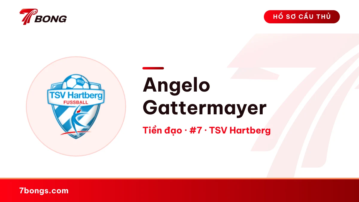 Angelo Gattermayer — TSV Hartberg