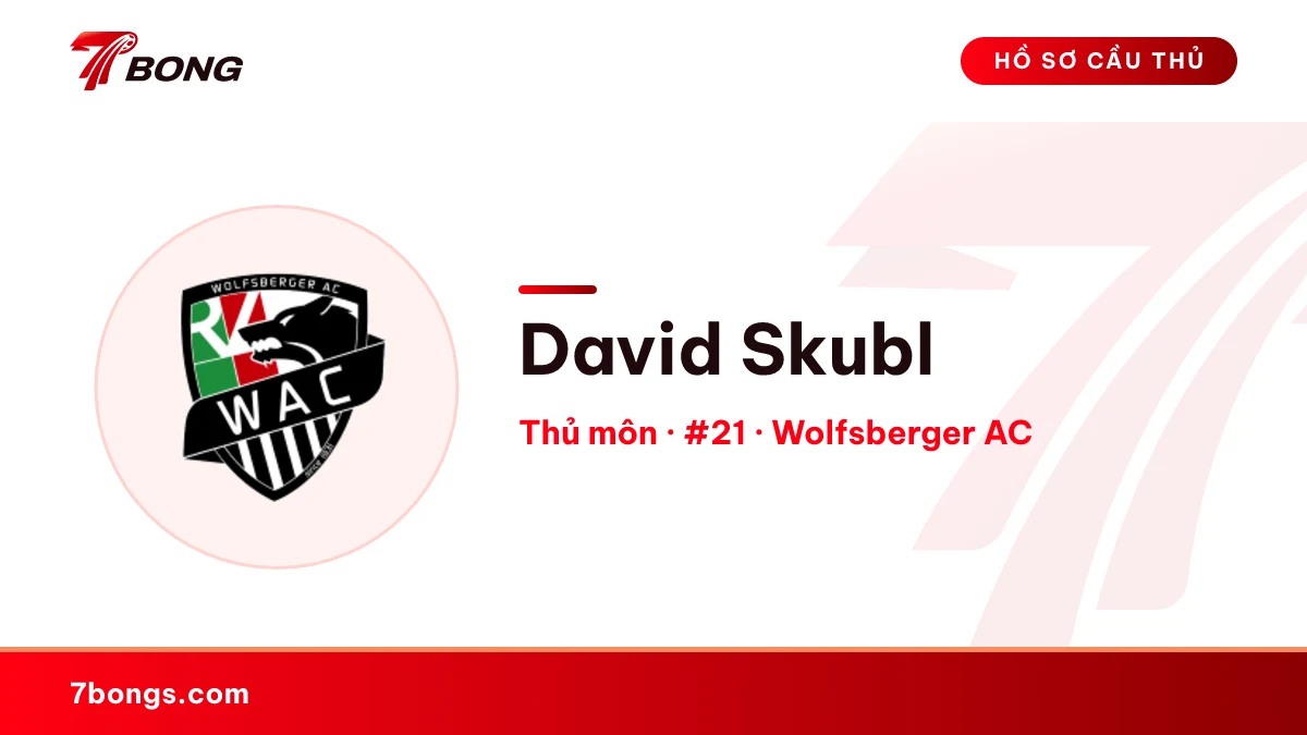 David Skubl — Wolfsberger AC