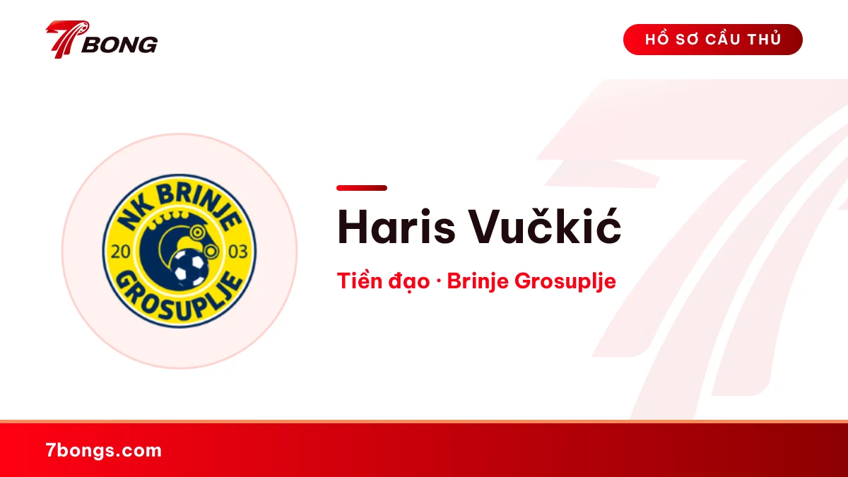 Haris Vučkić — Brinje Grosuplje