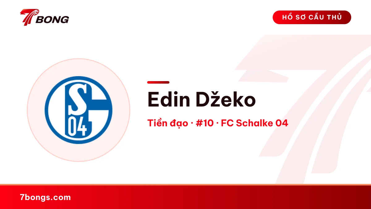 Edin Džeko — FC Schalke 04