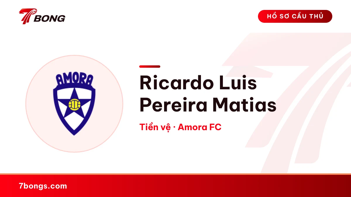 Ricardo Luis Pereira Matias — Amora FC