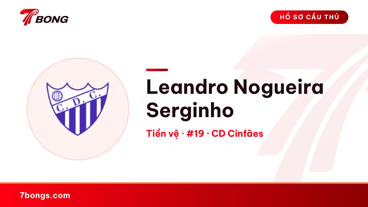 Leandro Nogueira Serginho — CD Cinfães