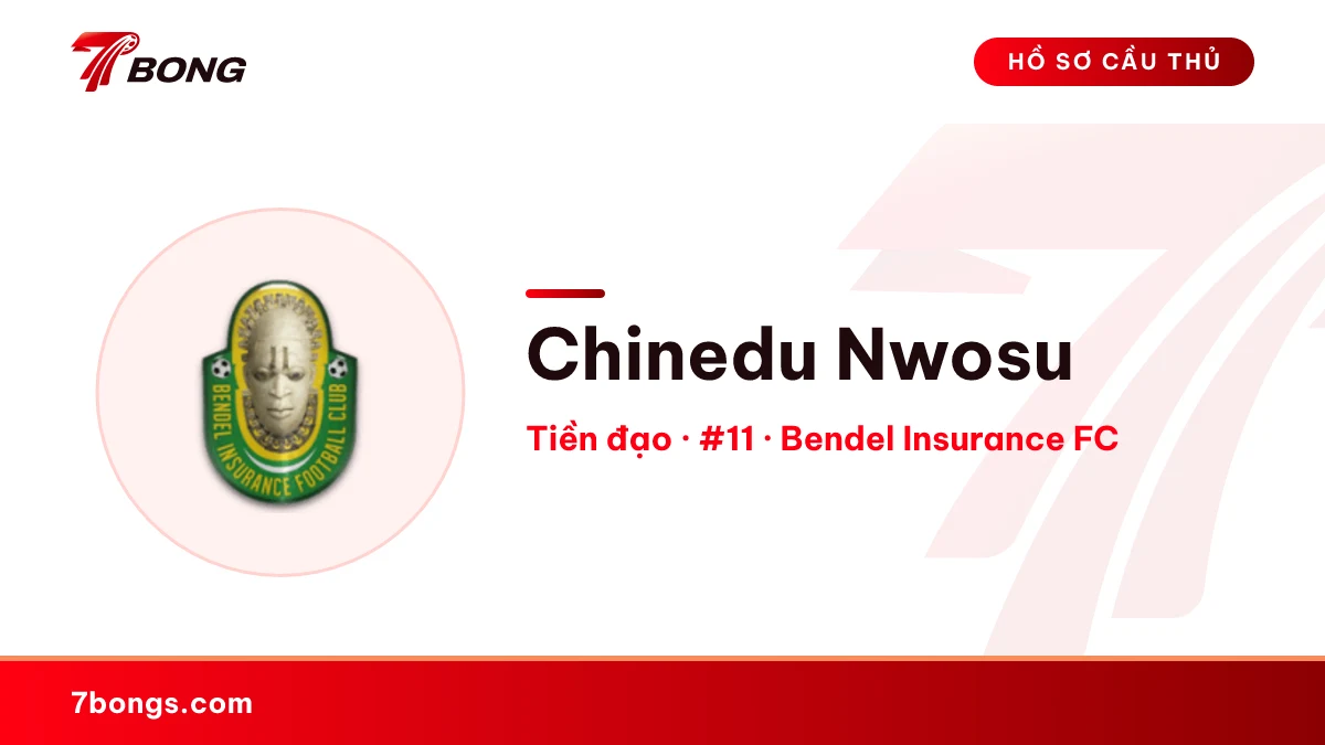 Chinedu Nwosu — Bendel Insurance FC