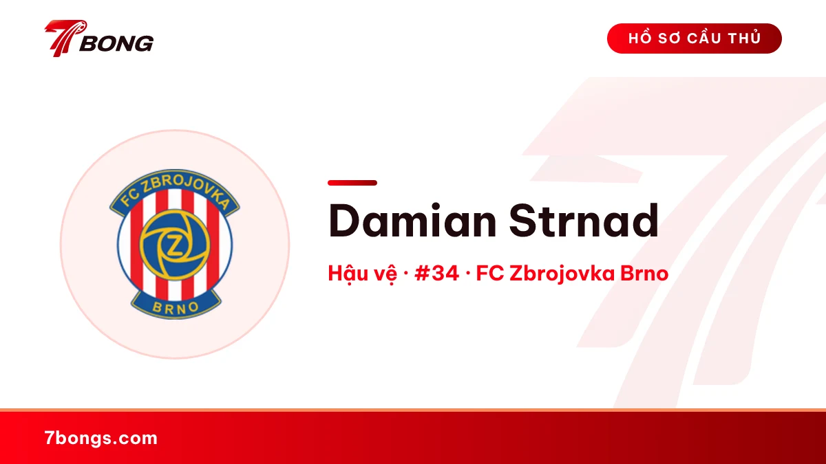 Damian Strnad — FC Zbrojovka Brno