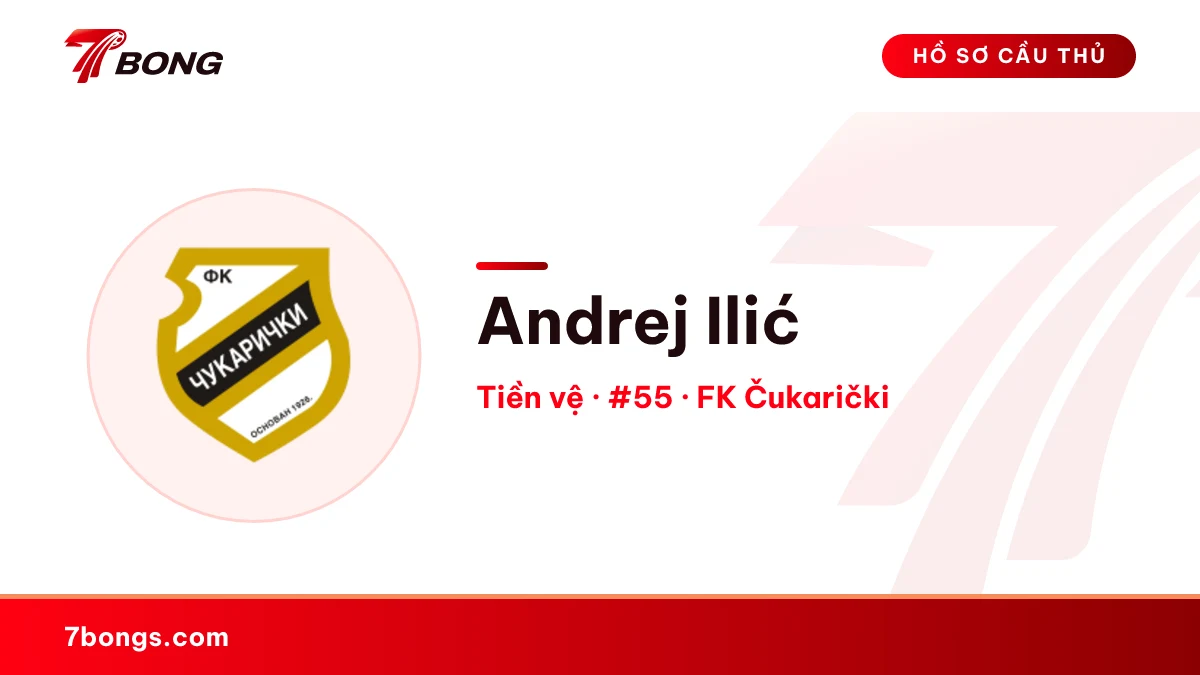 Andrej Ilić — FK Čukarički
