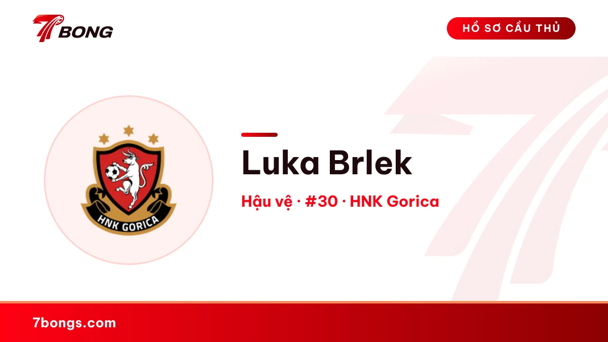 Luka Brlek — HNK Gorica