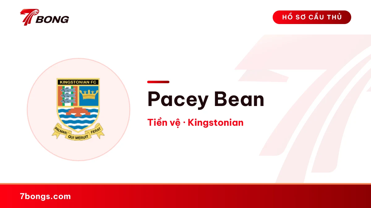 Pacey Bean — Kingstonian