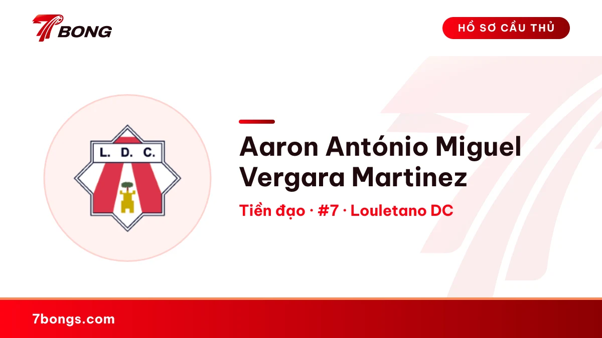 Aaron António Miguel Vergara Martinez — Louletano DC