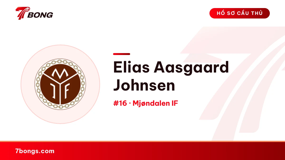 Elias Aasgaard Johnsen — Mjøndalen IF