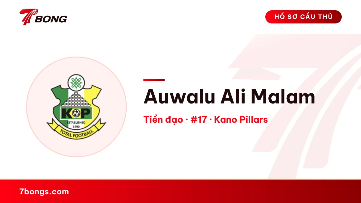 Auwalu Ali Malam — Kano Pillars