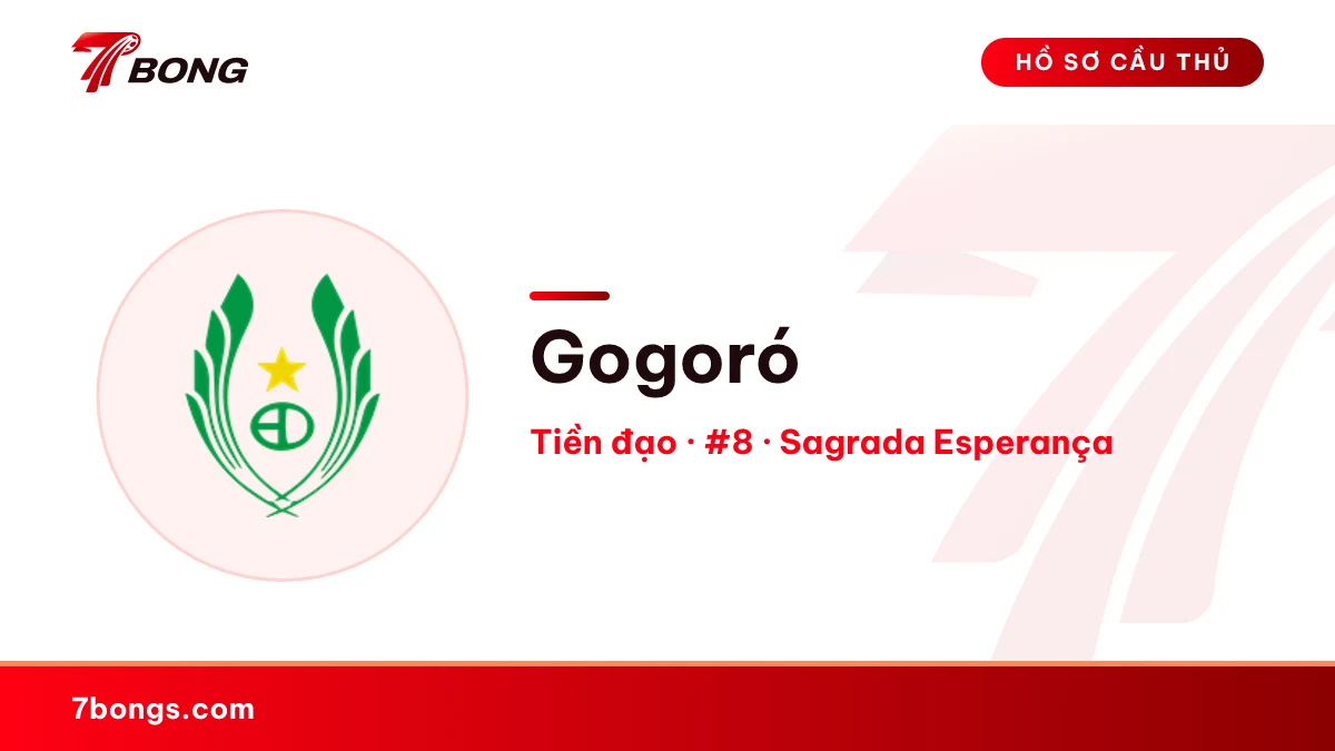 Gogoró — Sagrada Esperança