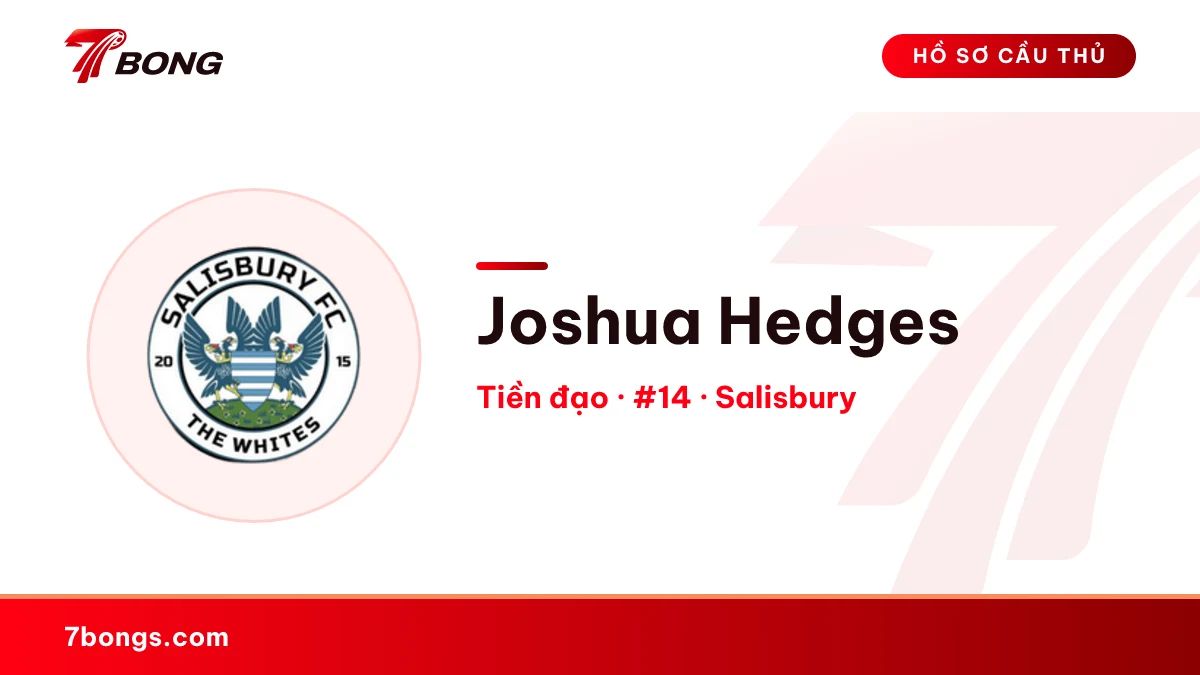 Joshua Hedges — Salisbury