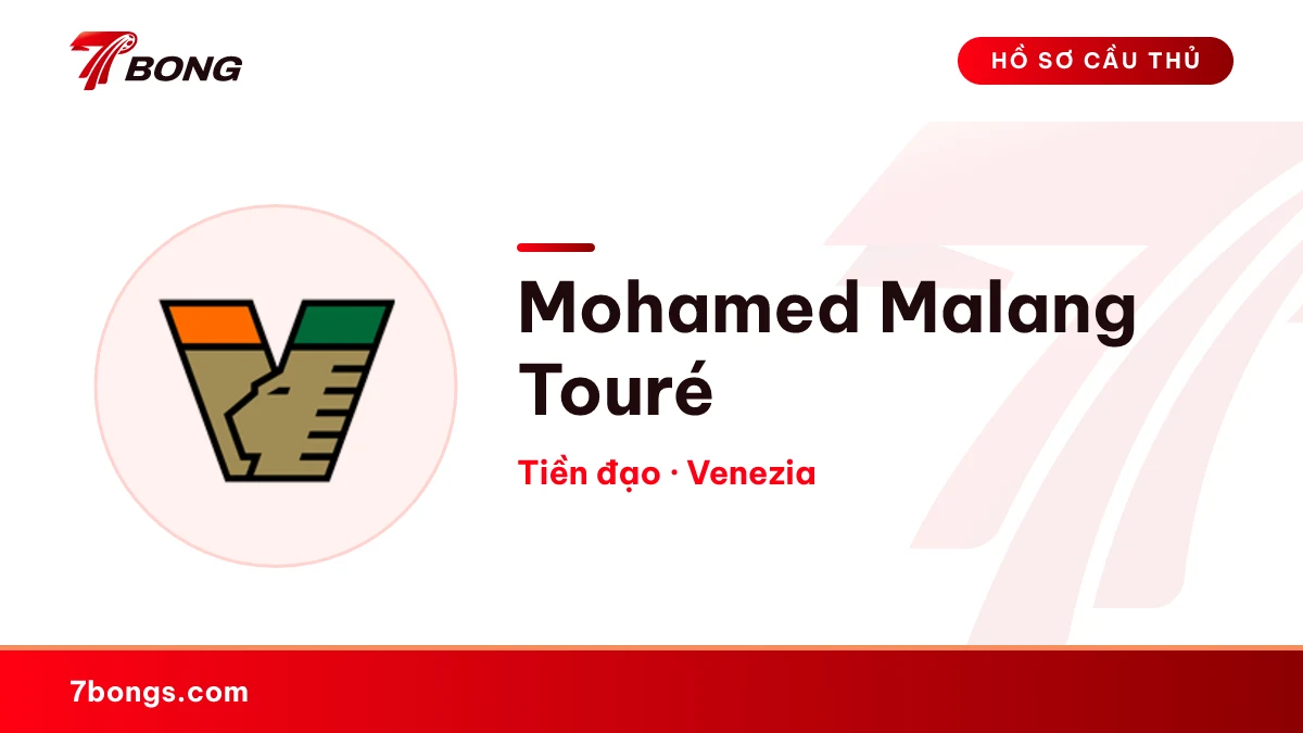 Mohamed Malang Touré — Venezia