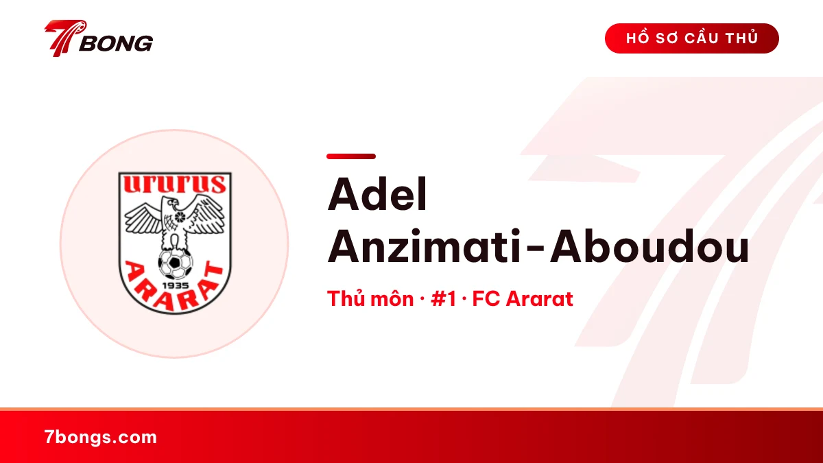 Adel Anzimati-Aboudou — FC Ararat