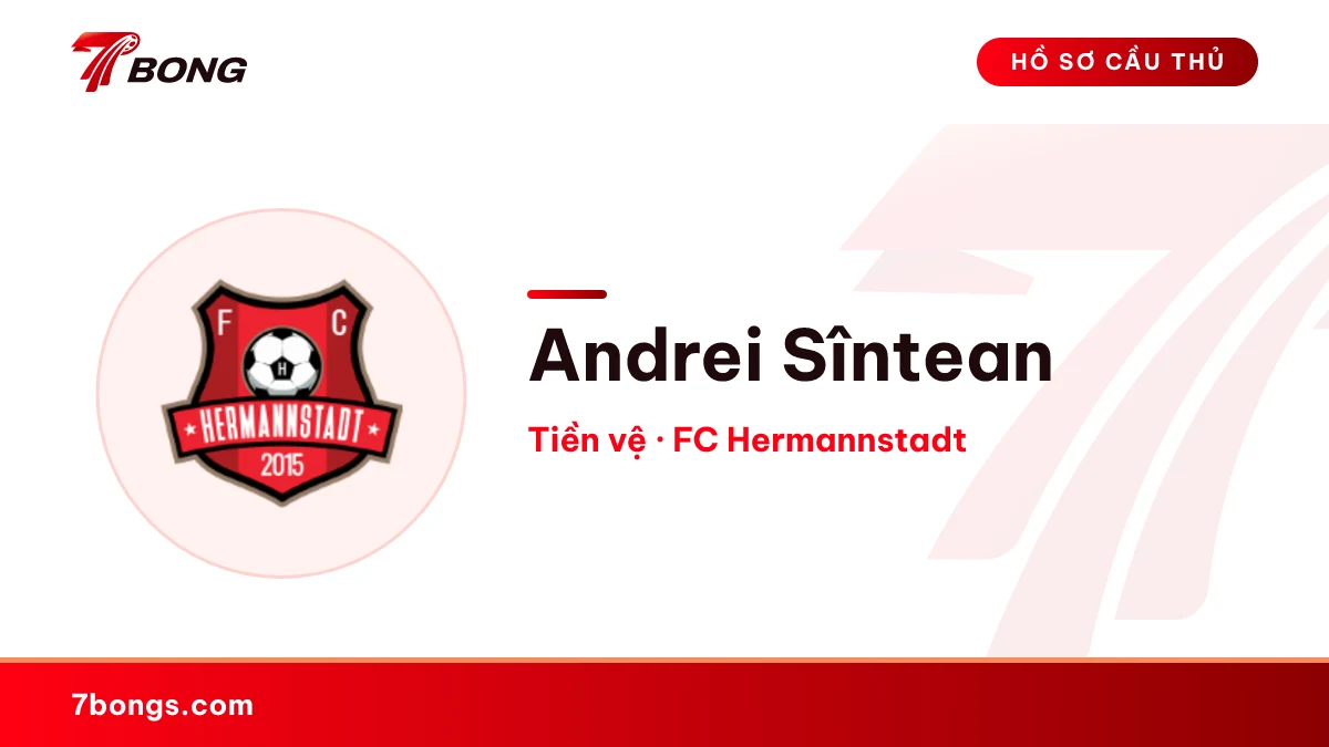 Andrei Sîntean — FC Hermannstadt