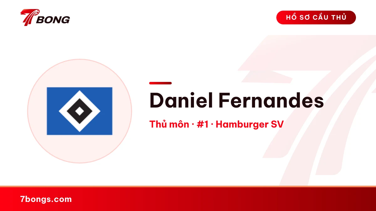 Daniel Fernandes — Hamburger SV