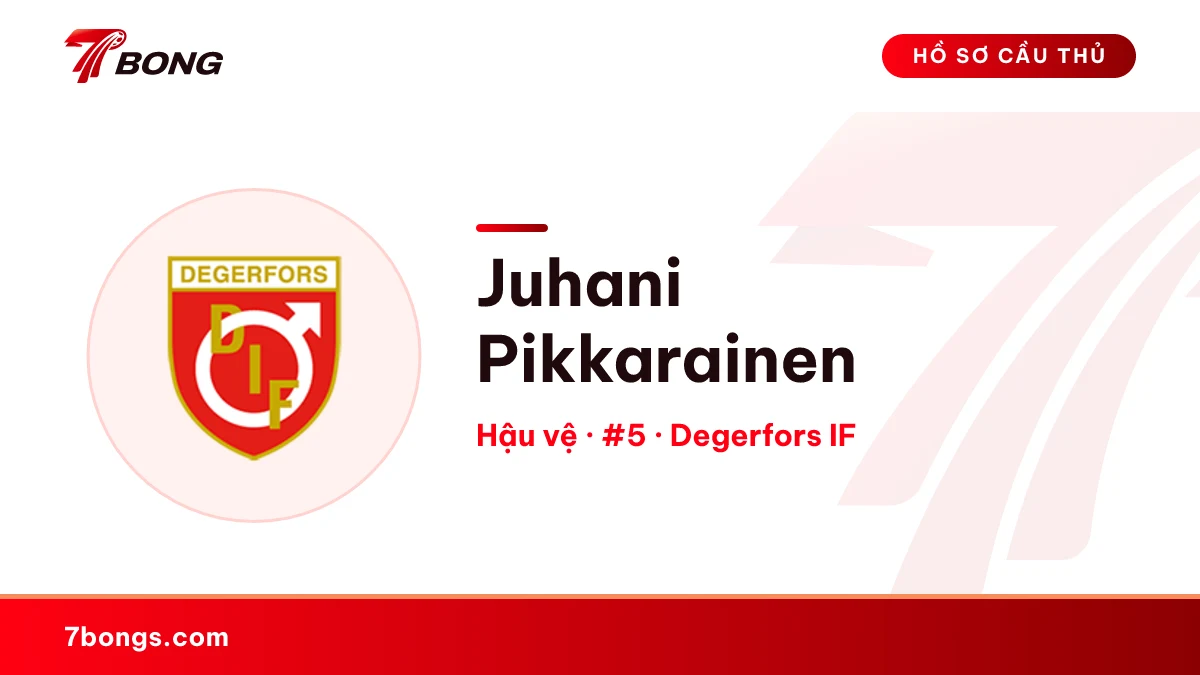 Juhani Pikkarainen — Degerfors IF