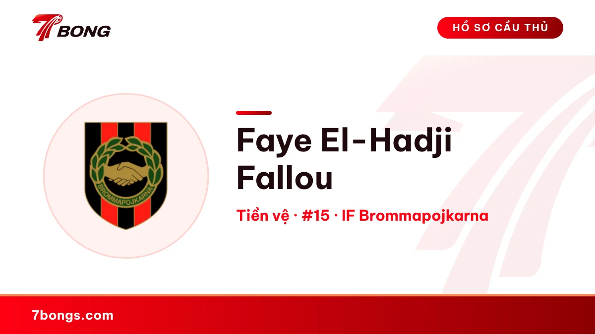 Faye El-Hadji Fallou — IF Brommapojkarna