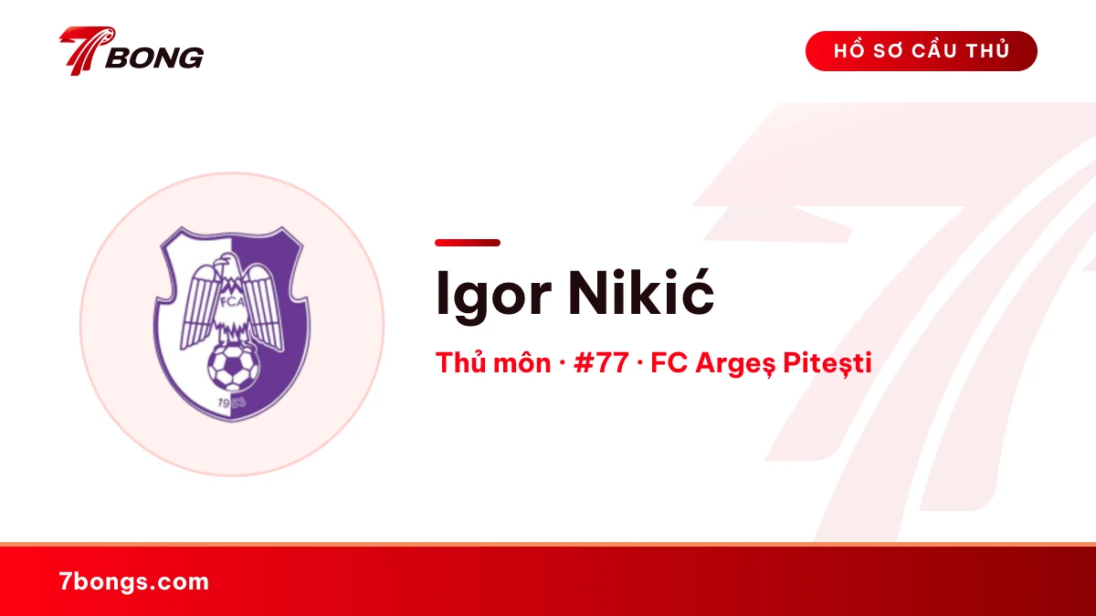 Igor Nikić — FC Argeș Pitești