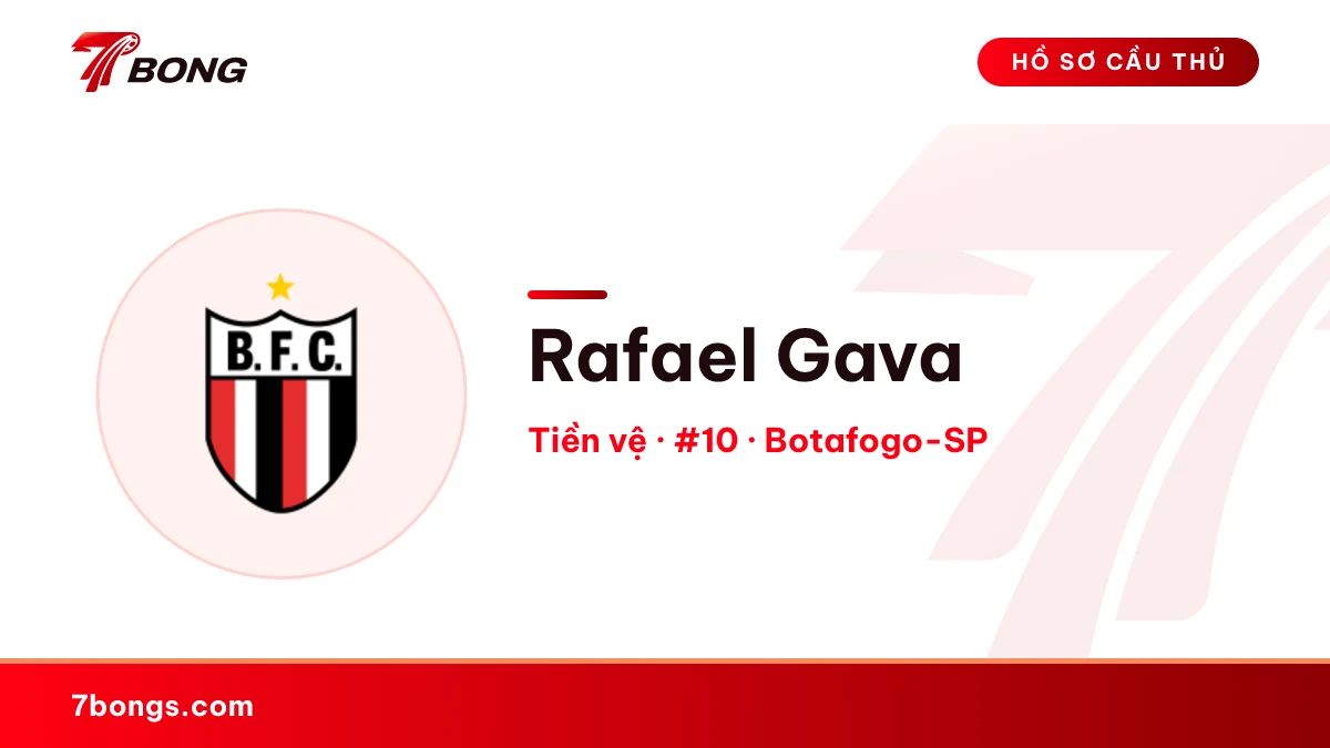 Rafael Gava — Botafogo-SP