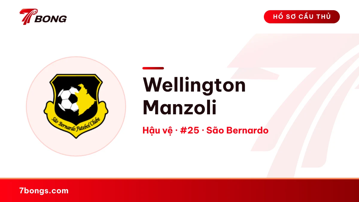 Wellington Manzoli — São Bernardo