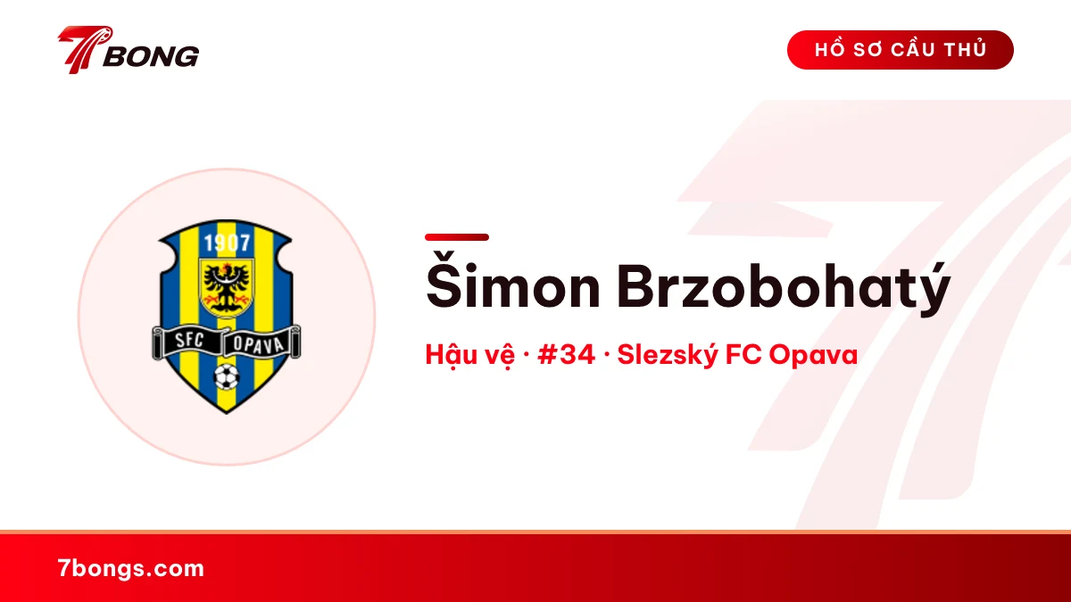 Šimon Brzobohatý — Slezský FC Opava