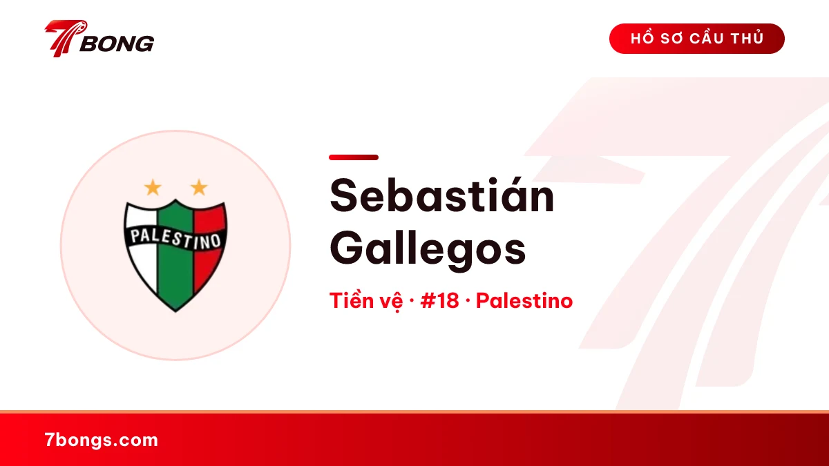 Sebastián Gallegos — Palestino