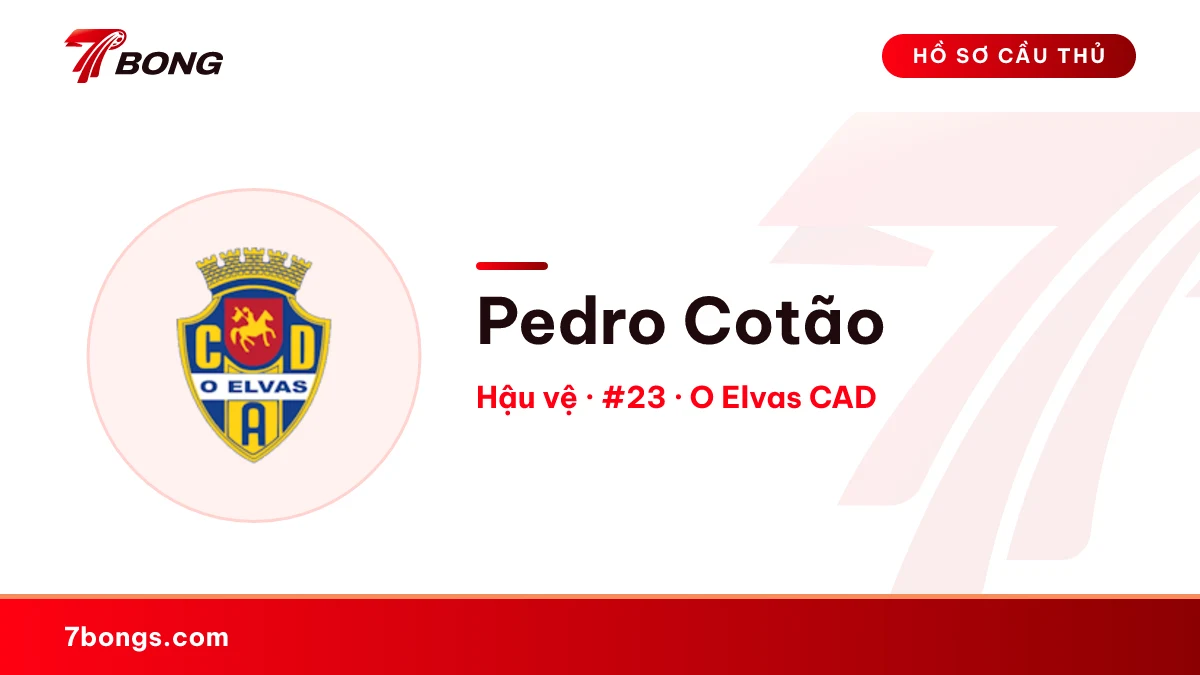 Pedro Cotão — O Elvas CAD