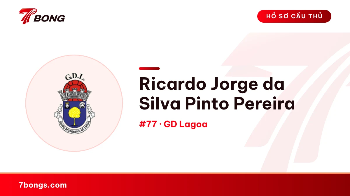 Ricardo Jorge da Silva Pinto Pereira — GD Lagoa