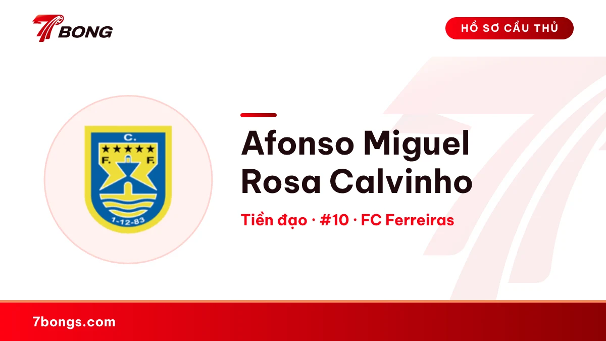 Afonso Miguel Rosa Calvinho — FC Ferreiras