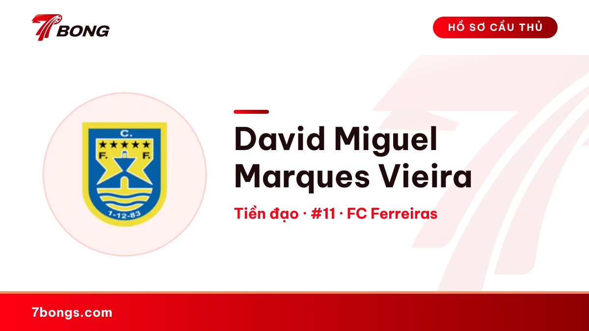 David Miguel Marques Vieira — FC Ferreiras