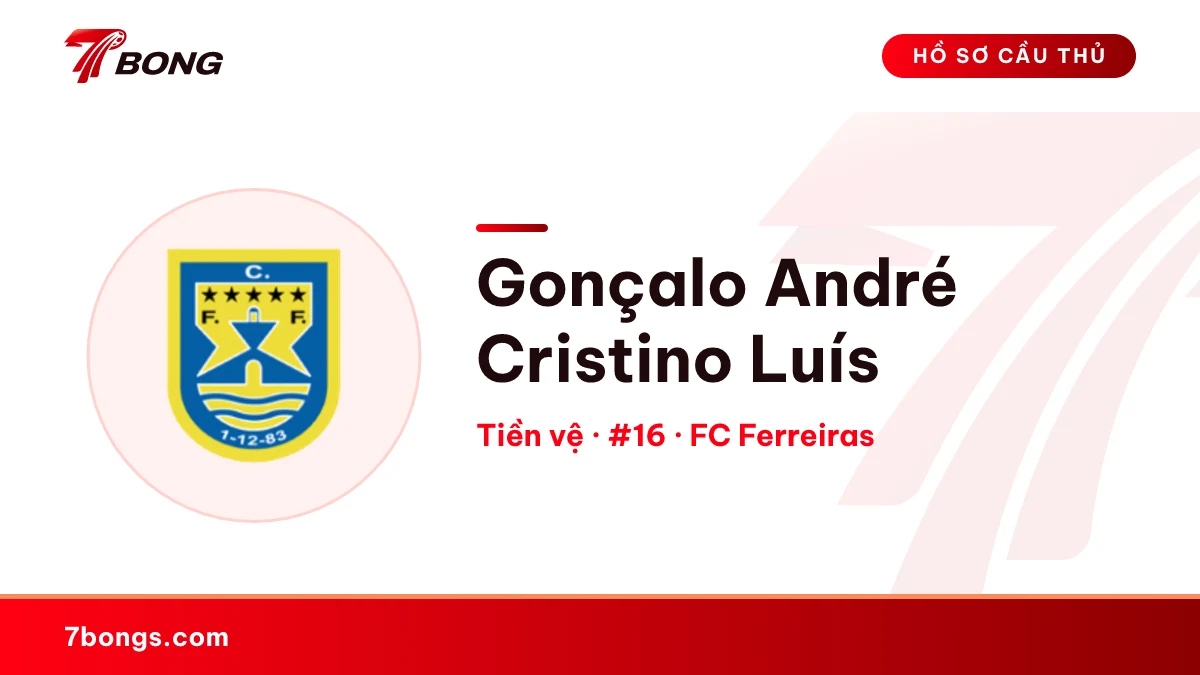 Gonçalo André Cristino Luís — FC Ferreiras