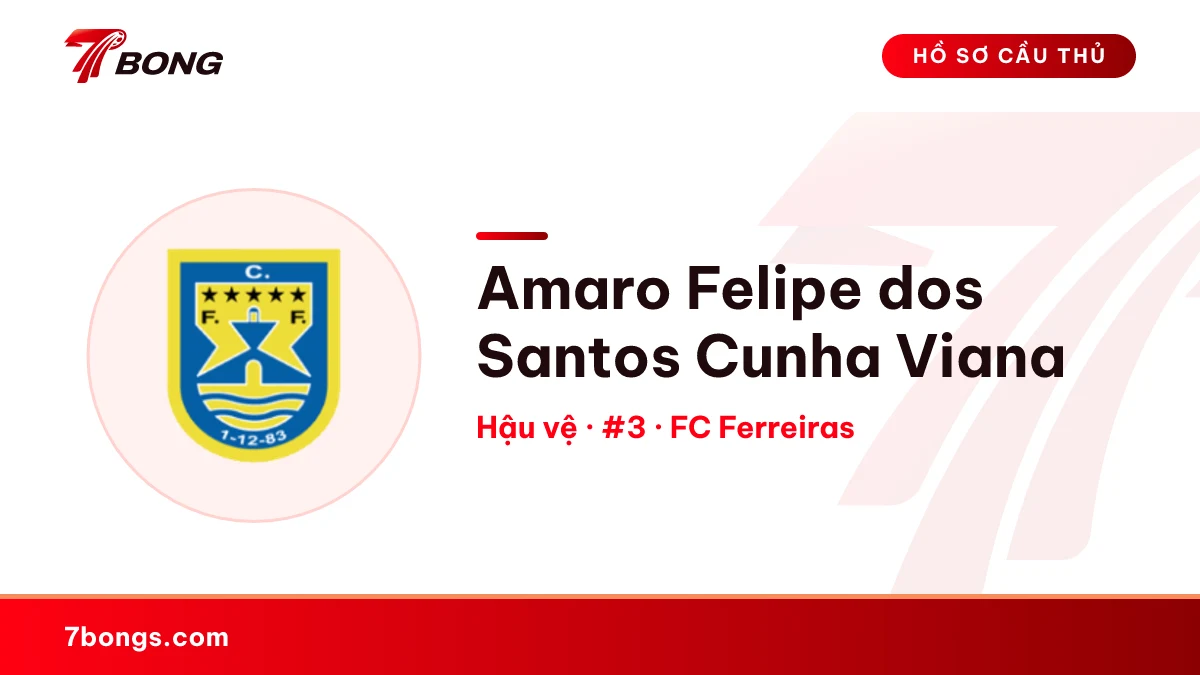 Amaro Felipe dos Santos Cunha Viana — FC Ferreiras