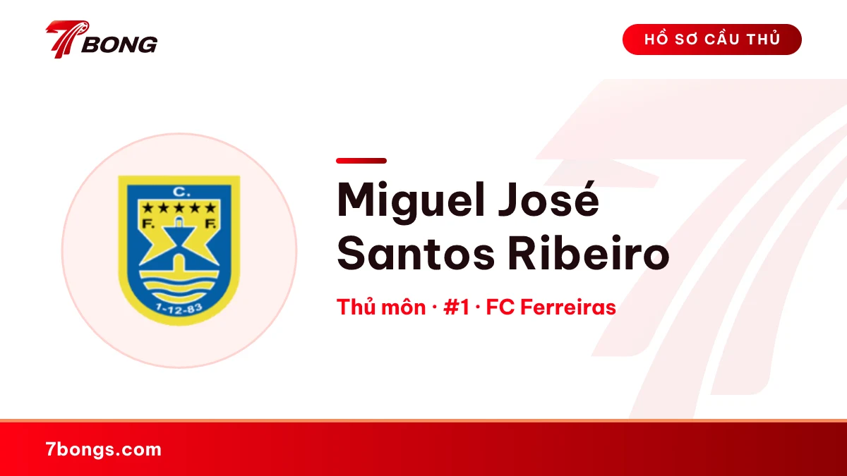 Miguel José  Santos Ribeiro — FC Ferreiras