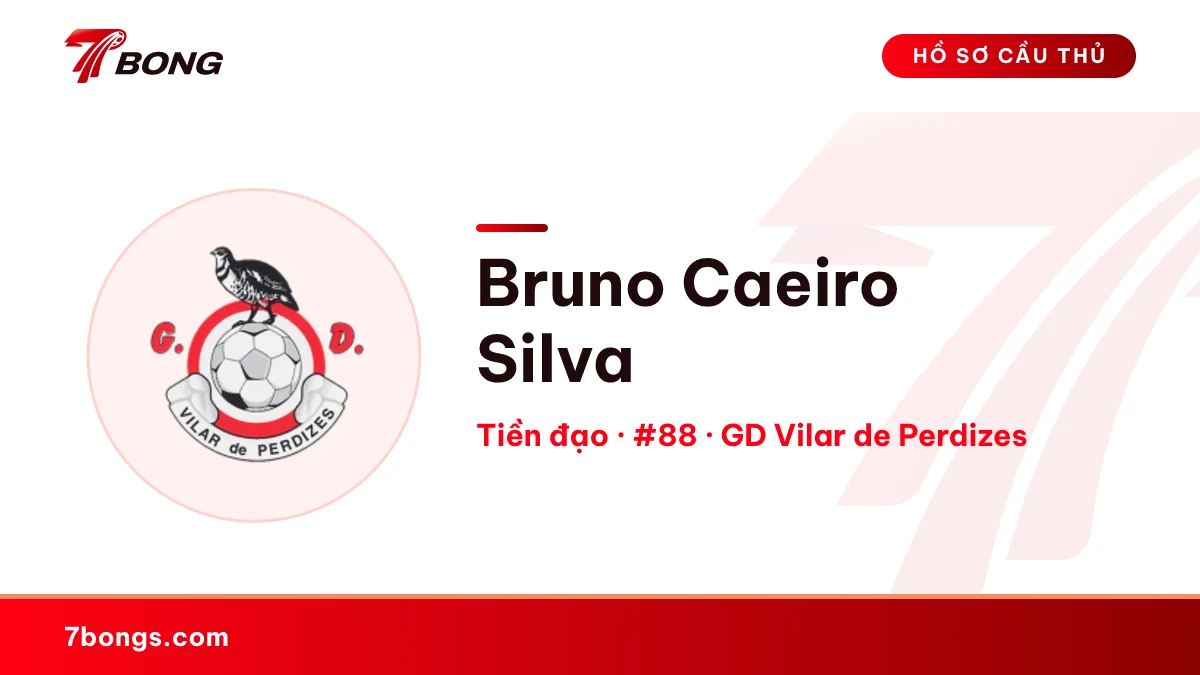 Bruno Caeiro Silva — GD Vilar de Perdizes