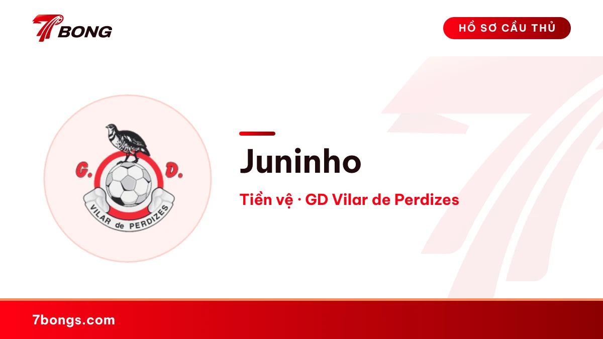 Juninho — GD Vilar de Perdizes