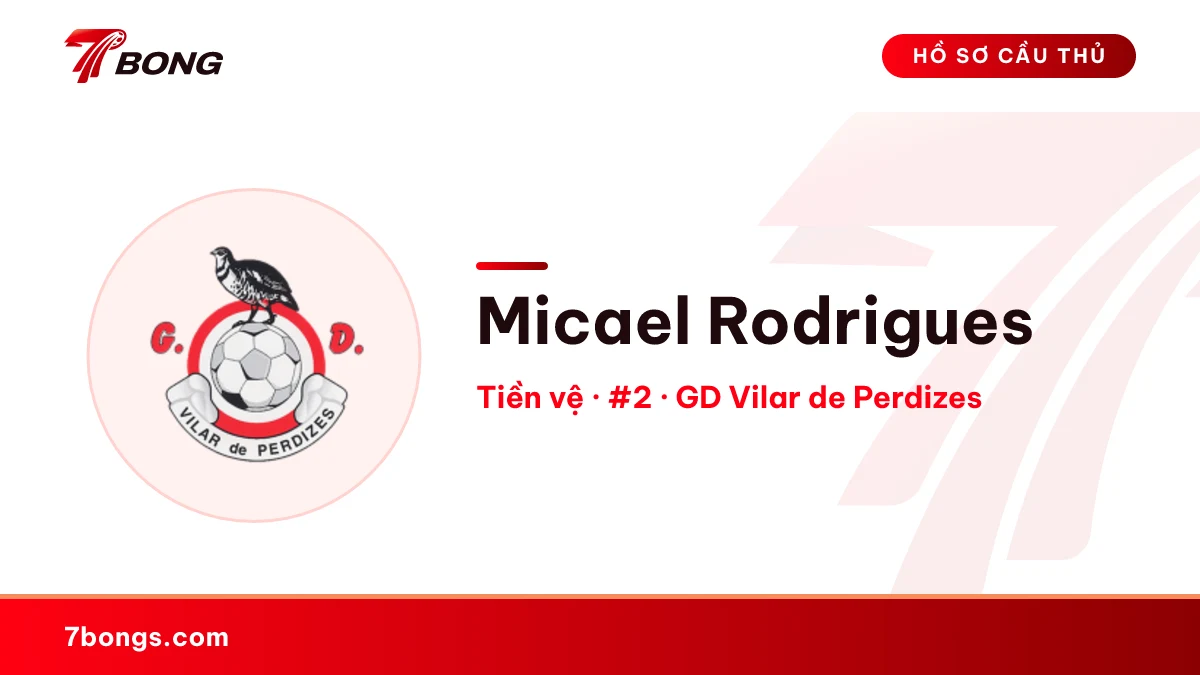 Micael Rodrigues — GD Vilar de Perdizes