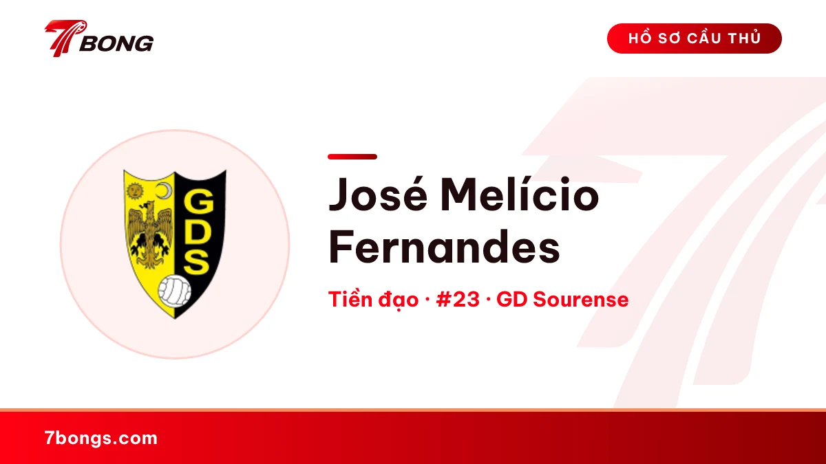 José  Melício Fernandes — GD Sourense