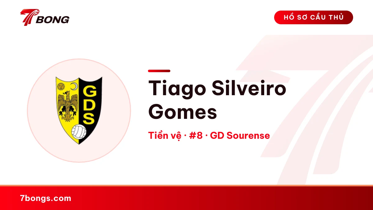 Tiago  Silveiro Gomes — GD Sourense