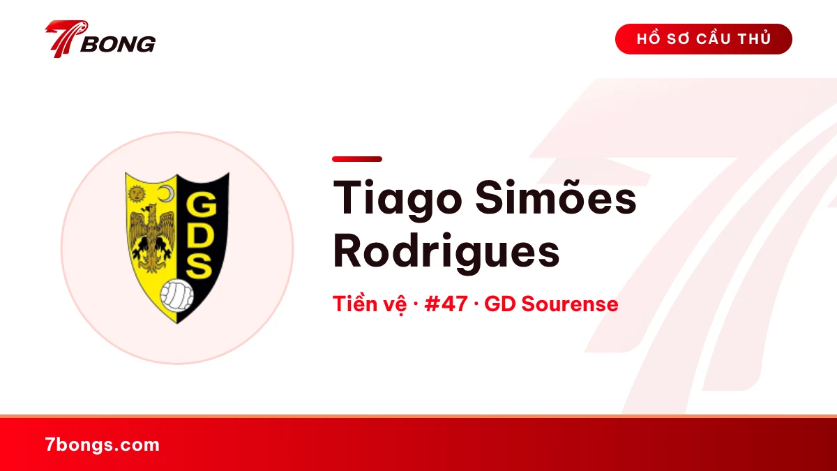 Tiago  Simões Rodrigues — GD Sourense