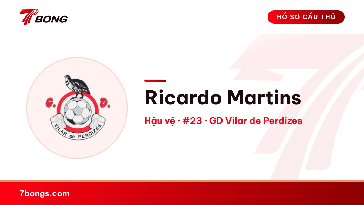Ricardo Martins — GD Vilar de Perdizes