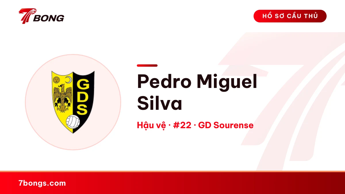 Pedro Miguel  Silva — GD Sourense