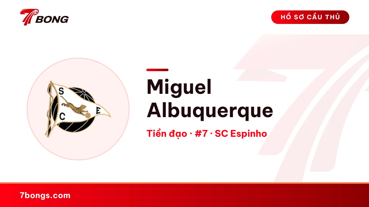 Miguel Albuquerque — SC Espinho