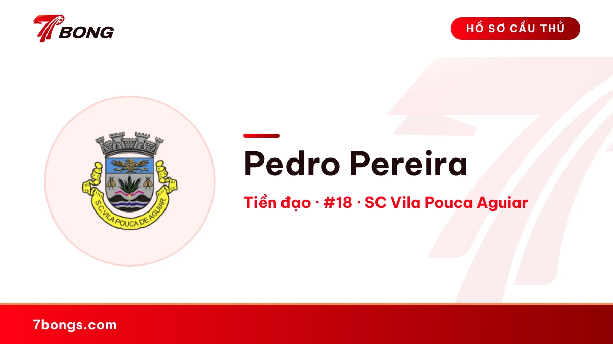 Pedro Pereira — SC Vila Pouca Aguiar