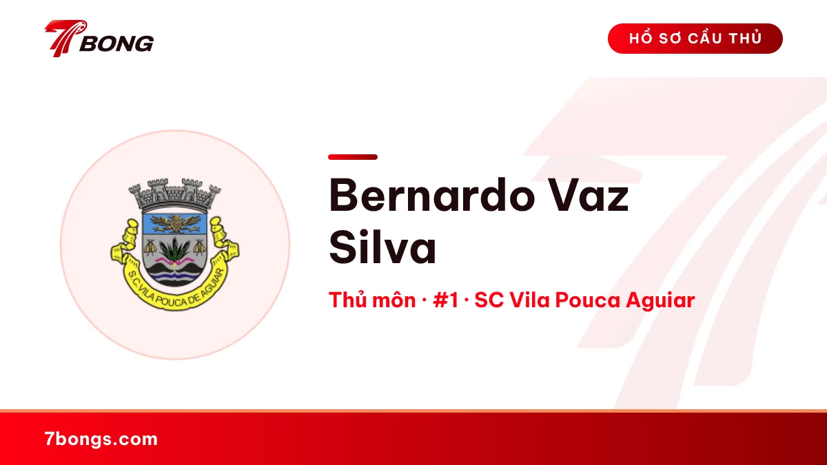 Bernardo Vaz Silva — SC Vila Pouca Aguiar